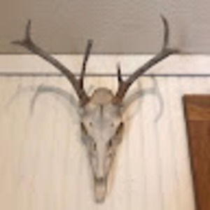 Meet your Posher, Seth